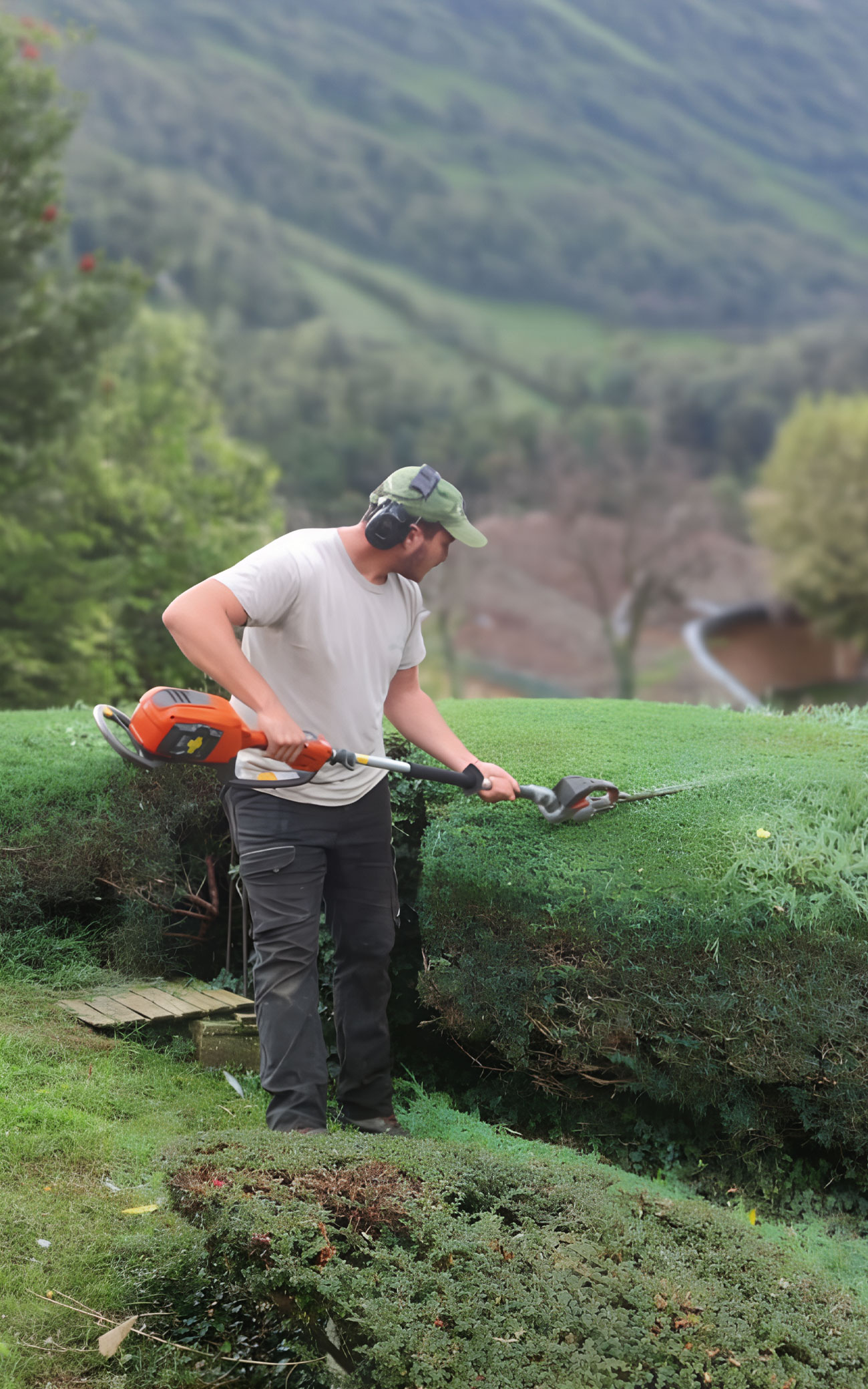 service-a-la-personne-jardinage
