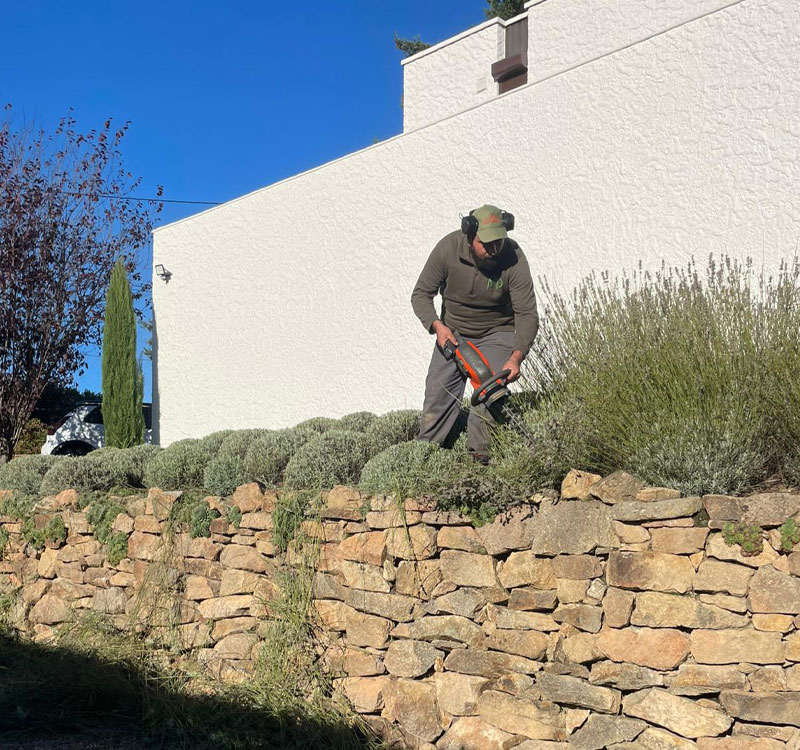 service-a-la-personne-jardinage3